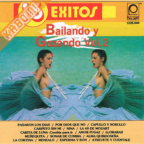 16 Exitos Bailando y Gozando Vol.2 - Varios CD 1994