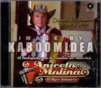 thumb_2976_anicetoMolinaCuandoElA.jpg