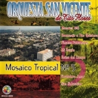 thumb_4037_orquestaSanVicenteDeMosaico.jpg