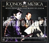 thumb_4068_iconosDeLaMuElvisBillA.jpg