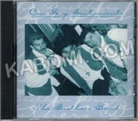 thumb_6391_brothersBandConFeA.jpg